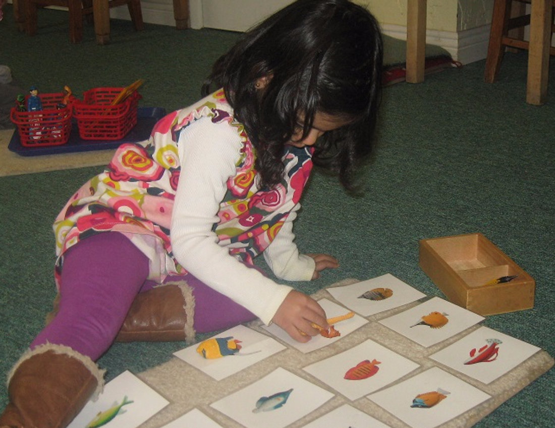 A child working with Montessori picture cards on the classroom floor